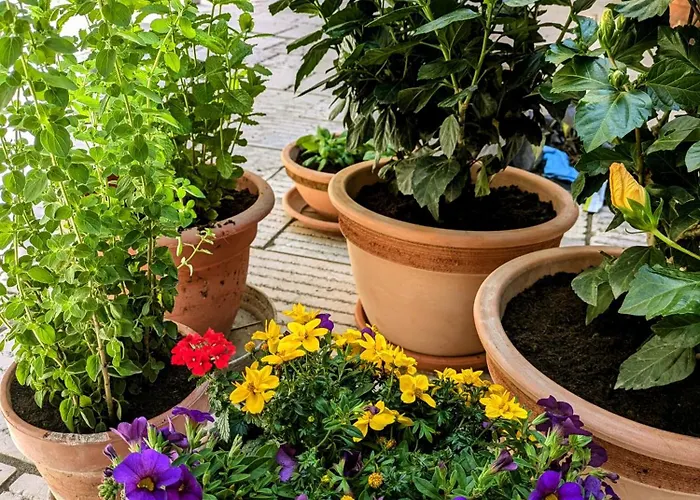 Apartamento Il Muro D'oro